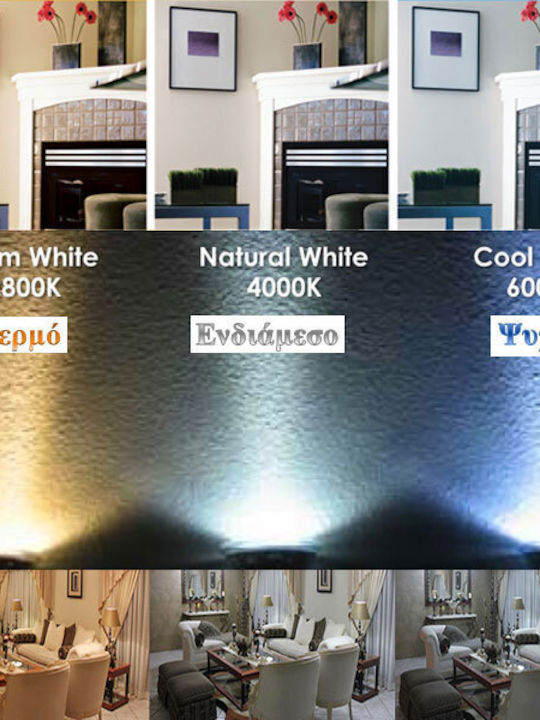 Adeleq Broască Testoasă Led Încorporat 2.4W Adeleq Broască Testoasă Led Încorporat 2.4W
