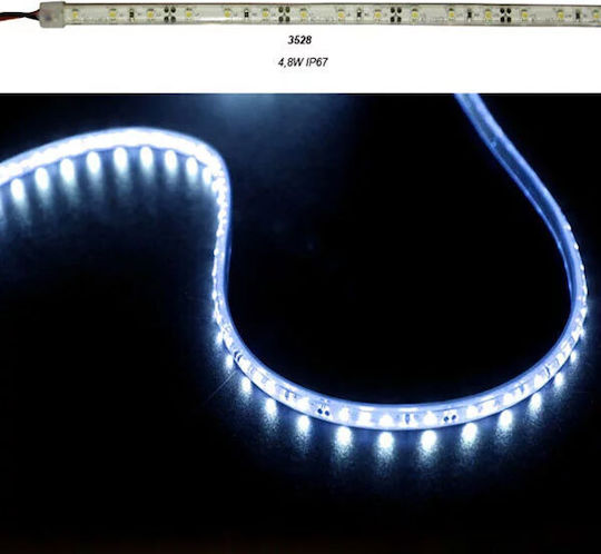 Adeleq Wasserdicht LED-Streifen 12V Blau Licht 5m Typ SMD3528