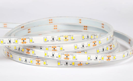 VK Lighting Waterproof LED Strip 12V Orange Light 5m Type SMD2835