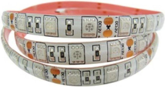 Αδιάβροχη Ταινία LED 12V Θερμό Λευκό Φως 1m Τύπου SMD5050