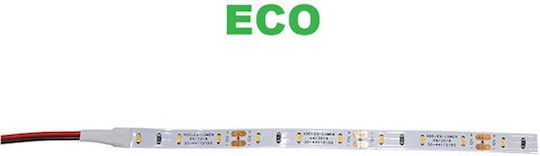 Adeleq LED Strip 12V Warm White Light 5m Type SMD5050