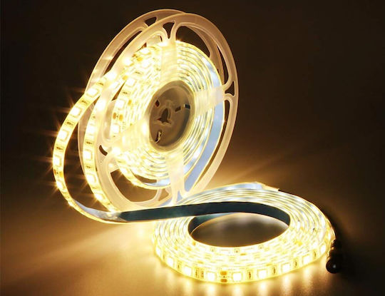 Ταινία LED 12V Θερμό Λευκό Φως 5m