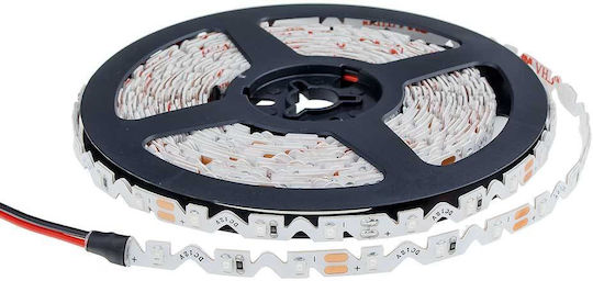 Optonica Wasserdicht LED-Streifen 12V Blau Licht 5m Typ SMD2835