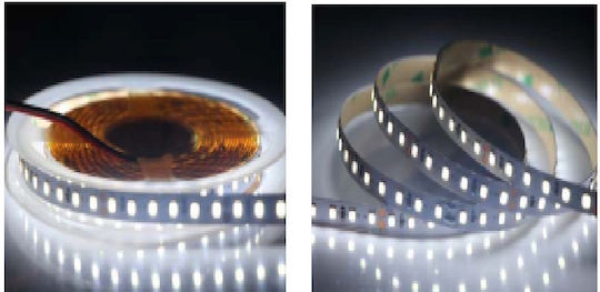 Universe LED Strip 24V 5m