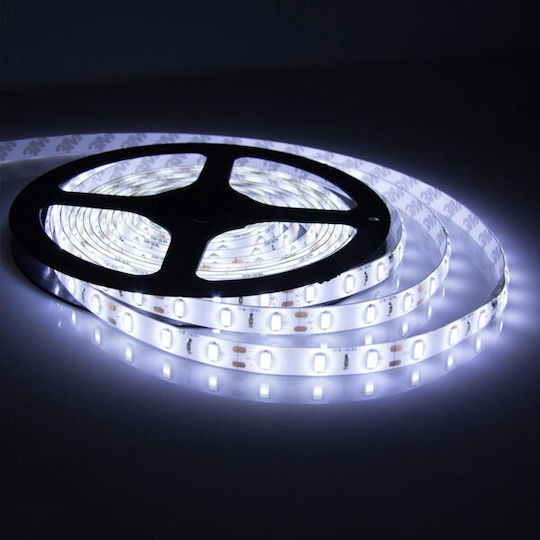 Redled Αδιάβροχη Ταινία LED 12V Ψυχρό Λευκό Φως 5m