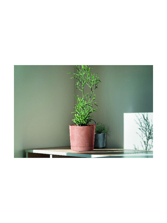 Prosperplast Бетонен Пот Крем 12.8x12.8x12.8см