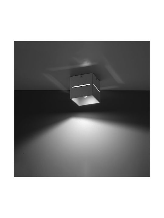 Sollux Lobo Modern Lamp Wall Gray 10x13x13cm