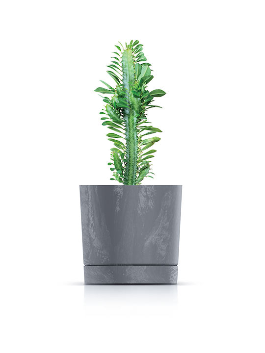 Prosperplast Бетонен Пот Marengo 17.8x17.8x17.5 см