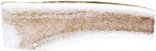 Antler BlooChoo Κέρατο Σκύλου Μεσαίων Φυλών από Ελάφι 70gr