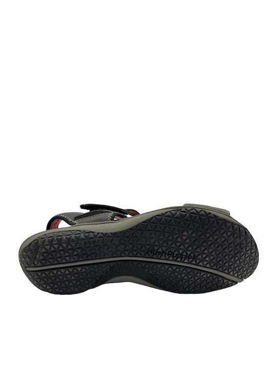 Hush Puppies