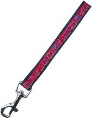 Tatrapet Dog Leash/Lead Strap