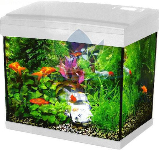 Hailea K-20 Acvariu de Pești cu Capacitate de 20lt cu Iluminare, Filtru și 36x23x29cm. Alb