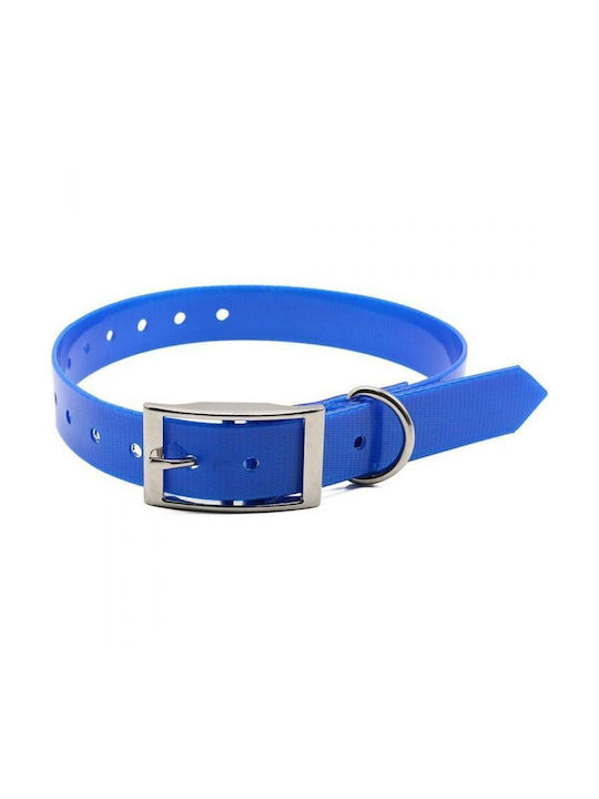 Dog Collar 55cm Blue