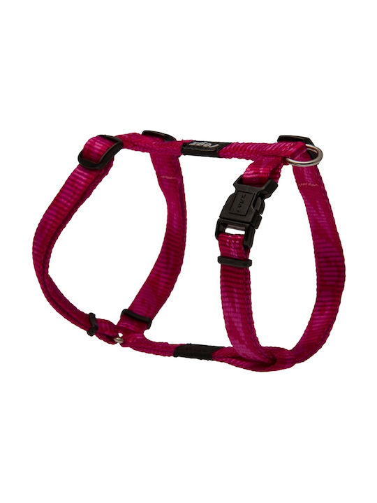 Rogz Everest X-Large Rogz Everest X-Large