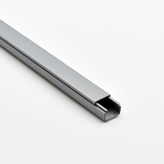 Viokar Cable Channel with Sticker made of Plastic 20x13mm Silver 2m