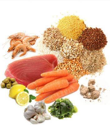 Prodac Fischfutter für Fische 100ml 20g