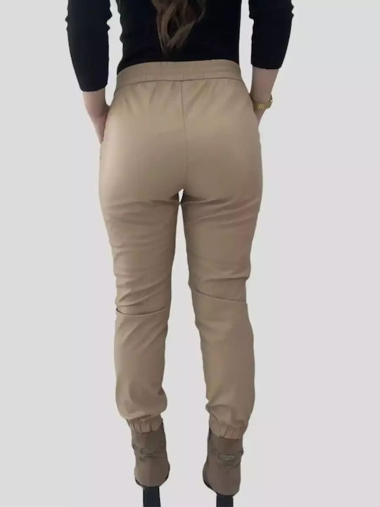 Bebe Plus
