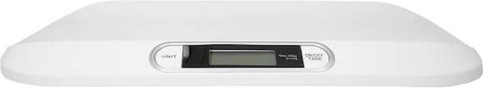 Digital Baby Scale