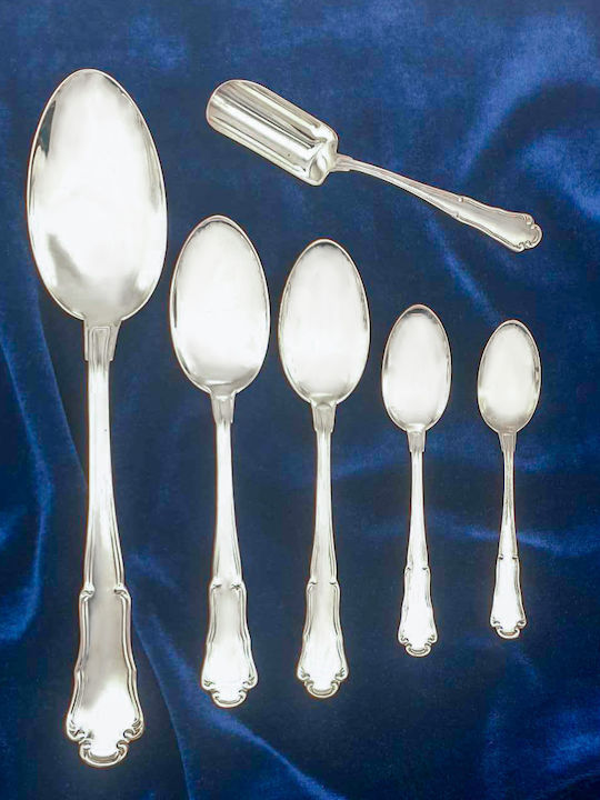 Savvas Design Set de Tacâmuri Inoxidabil Argintiu 231buc
