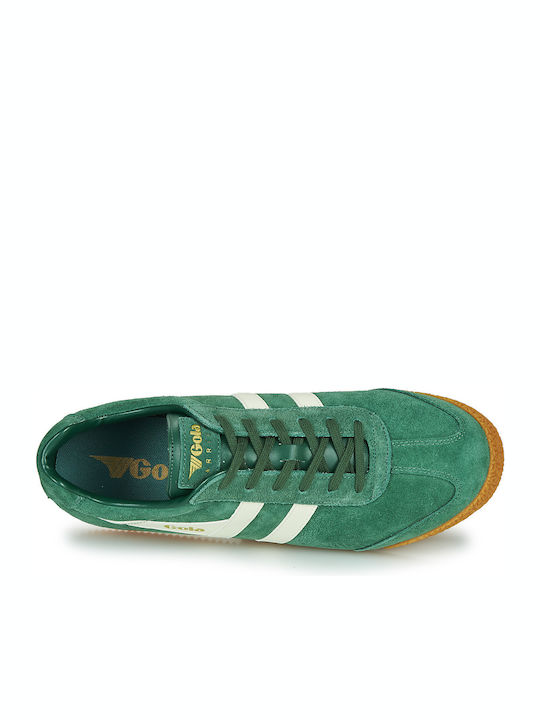 Harrier Herren Sneakers Grün