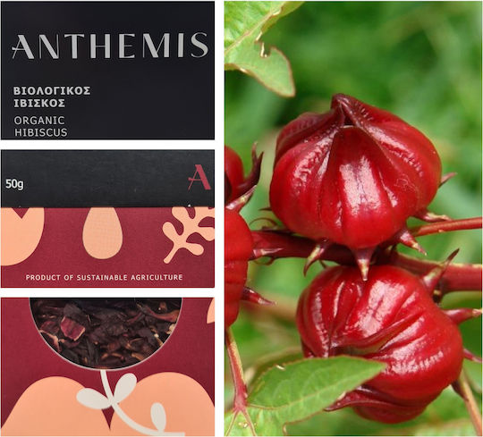 Anthemis Hibiscus Organic Product 50gr