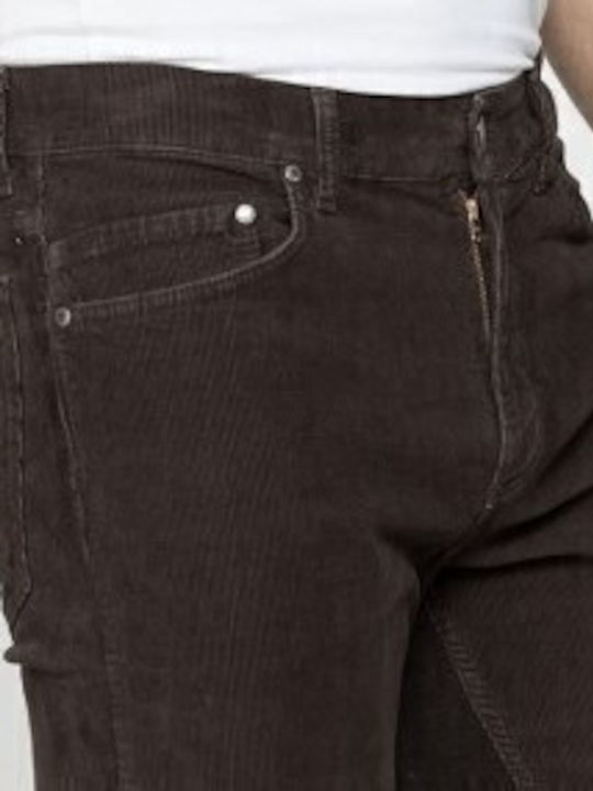 Carrera Trousers Elastic in Regular Fit Brown