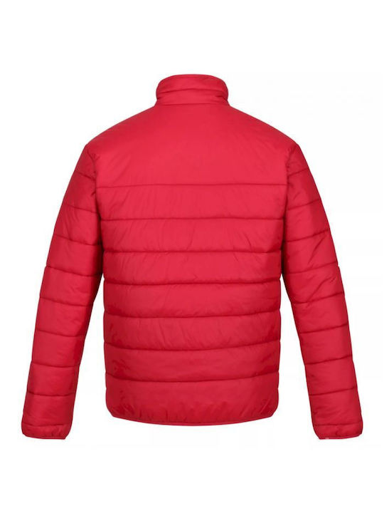 Regatta Men's Freezeway Iii Insulated Herren Winter Jacke Puffer Wasserdicht Rot