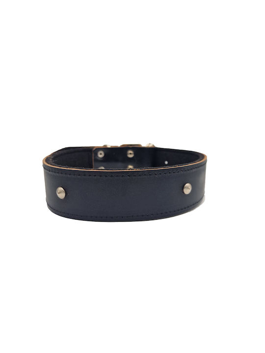 ByLeather Κολάρο Δερμάτινο σε Μαύρο χρώμα Small 60cm ByLeather Κολάρο Δερμάτινο σε Μαύρο χρώμα Small 60cm