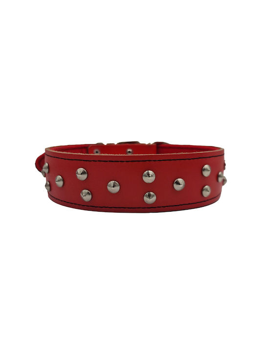 ByLeather Κολάρο Δερμάτινο σε Κόκκινο χρώμα Small 60cm ByLeather Κολάρο Δερμάτινο σε Κόκκινο χρώμα Small 60cm