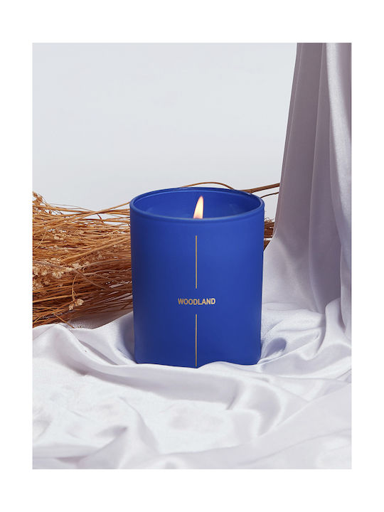 Celestino Aromatic Candle In Jar With Wood Perfume 140gr