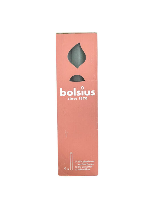 Bolsius Lumânare Aromată Conic Verde 910gr 9buc