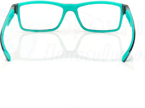 Centrostyle Acetate Prescription Eyeglass Frame F0346 103