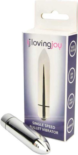 Loving Joy Vibrator Geschoss 8.80cm Silber