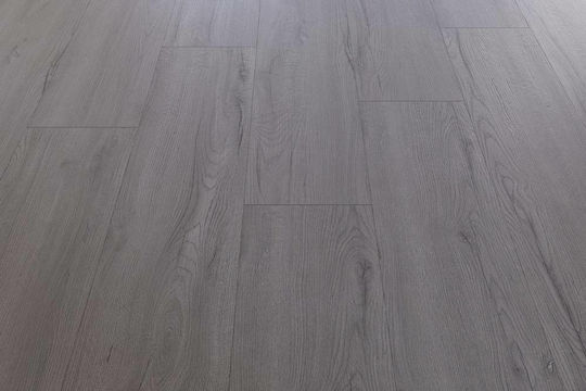 Standard Plus D4175