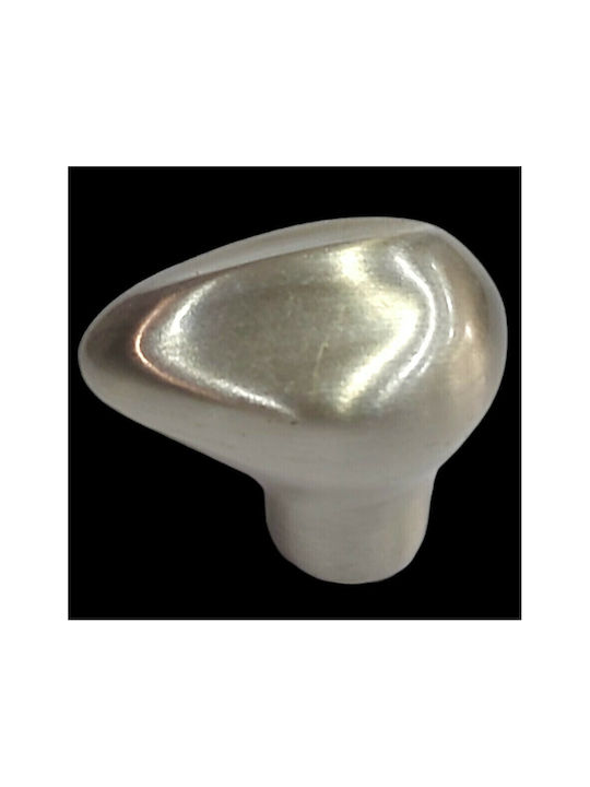 Steel-Nova Knopf Möbelgriff aus Metallisch in Silber Farbe 4130-000-12B1 1Stück