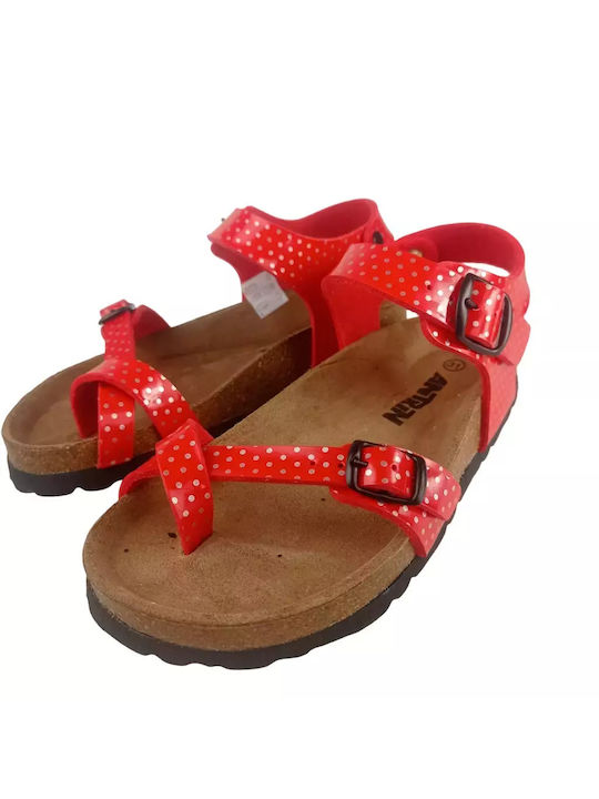 IQ Shoes