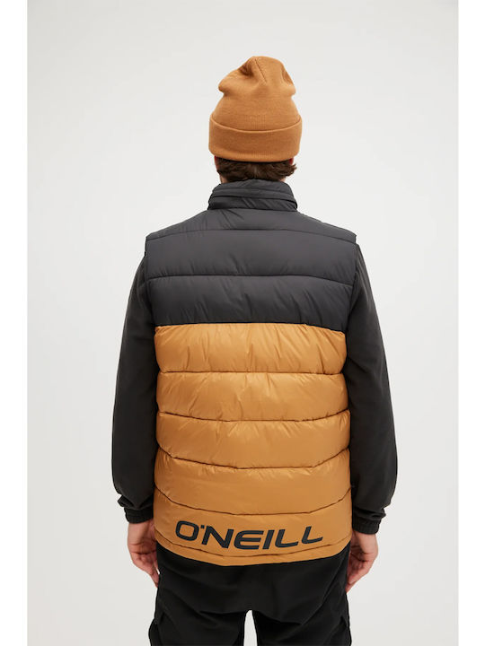 Geci barbati Puffer Maro