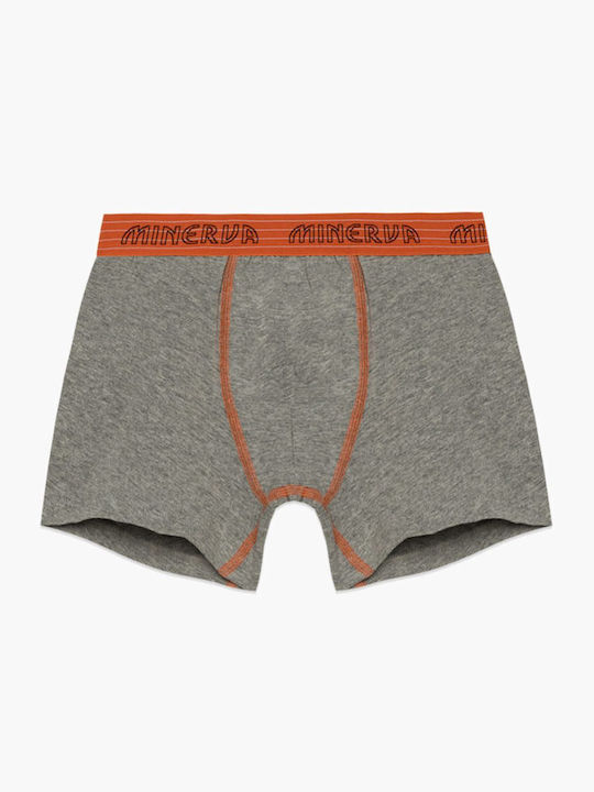 Minerva Set of Kids' Boxers Grey 2pcs