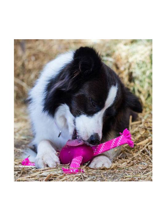 Rogz Dog Toy Rope Large Pink