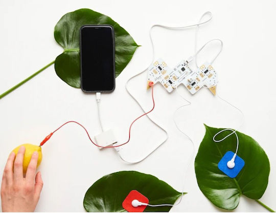Playtronica Midi Controller Playtron Μαύρο