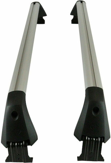 Toyota 2006-2010 (with Roof Rack Legs and Lock) Silver
