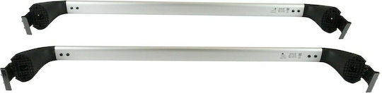 Toyota 2005-2008 (with Roof Rack Legs and Lock) Silver