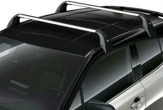 Toyota 2016-2022 (with Roof Rack Legs and Lock) Silver