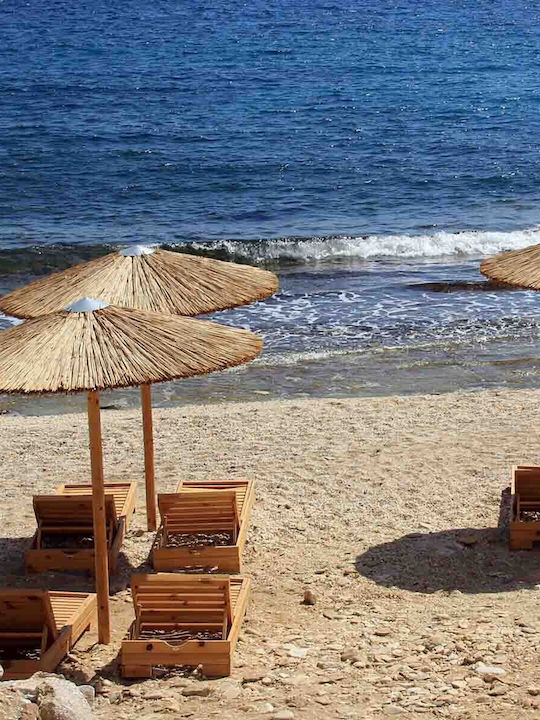 Showood Garden & Terrace Parasol from Bamboo Ø220cm