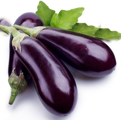 Rigakis Seeds Семена Патладжанς Черен 1гр/500бр