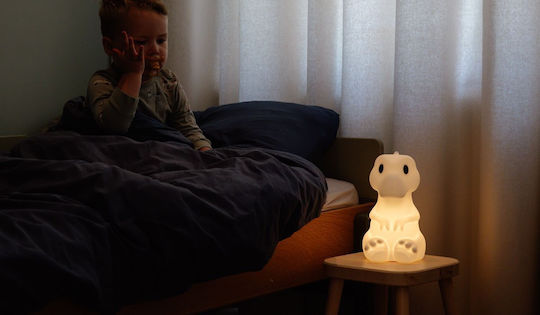 Mr Maria Dinosaur Rena USB Night Light