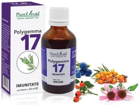 Plantextrakt 50ml