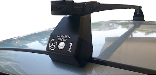 Hermes (with Roof Rack Legs) Black