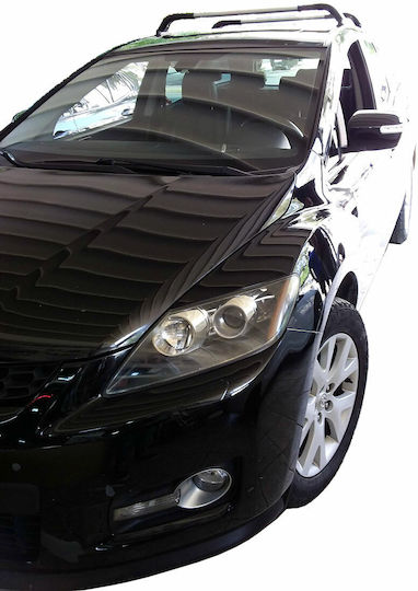 Hermes (with Roof Rack Legs) Black