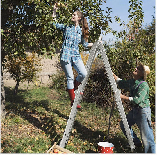 Costway Multipurpose Ladder with Maximum Height 3.71m